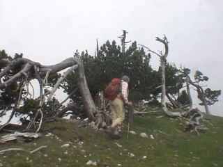 Rochers de Plautret 1827 m. depuis Romeyer – Fournaire 995 m
