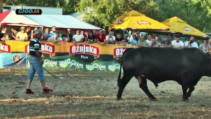 Crni Risonja Prugovo 2019: Epicka Pobeda u Dokumentarnom Filmu 🎬