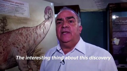 Argentine scientists discover new dinosaur species