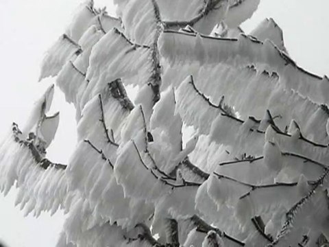 Crêtes de la Sûre et Buffe 1643 m Hiver - Vercors