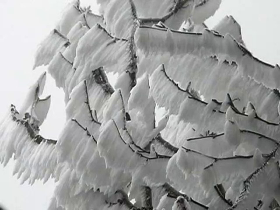 Crêtes de la Sûre et Buffe 1643 m Hiver  - Vercors