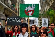 Cezayir seçimleri: 'Boykot gölgesinde' cumhurbaşkanı seçimi