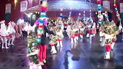 Bumba meu boi é Patrimônio da Humanidade