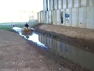 Titi joue dans l'eau en balade avec warseb