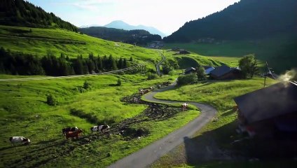!f 2016 - The Seasons in Quincy: Four Portraits of John Berger