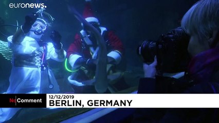 Quando Babbo Natale si immerge, la comparsata nell'acquario di Berlino