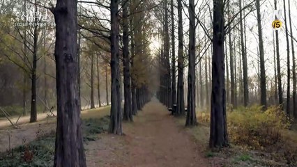 Signal 베테랑 형사 김혜수의 신념! 160115 EP.1