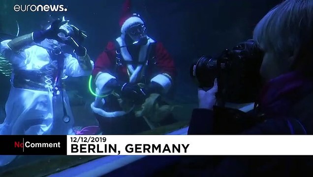 Bacadan beklerken akvaryumdan çıkan Noel Baba