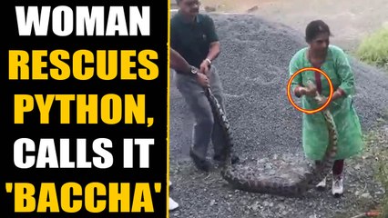 Woman rescues 20 KG python, lovingly calls the reptile 'baccha' | Oneindia News
