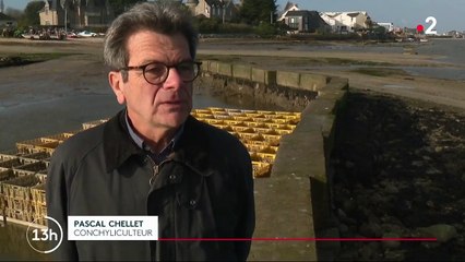 Naufrage de "l'Erika" : vingt ans après, le traumatisme de la marée noire