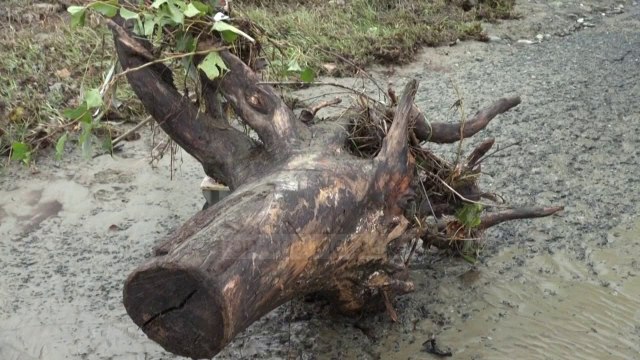 Francë/ Të zhdukur nga moti i keq, mund të jenë rrëmbyer nga përmbytjet