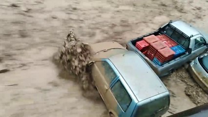 Moti i keq perfshin Europen