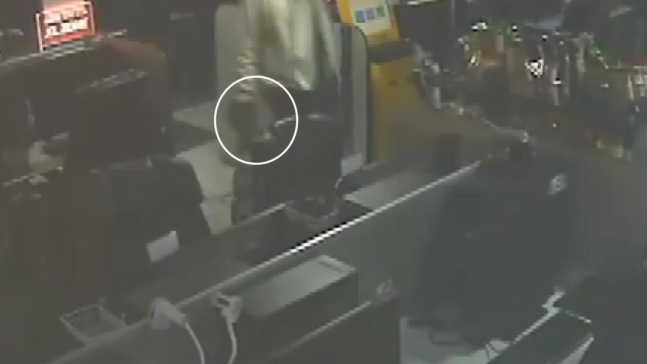고양이 학대한 뒤 던져 죽인 피시방 종업원 / YTN