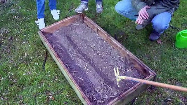 Ecole des jardiniers Reims : le semis en extérieur