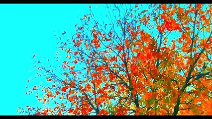 88:88 (Trailer #2) 2015