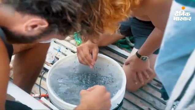 कूड़ा निकालने के लिए 52 साल के लेकॉम्त प्रशांत महासागर में 555 किमी तैरे, बोले- लगा कि समुद्र में प्लास्टिक सूप तैर रहा