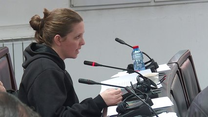 Qyteti i Shkupit, debati për planin urbanistik