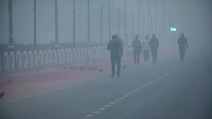 Nueva Delhi sumergida en una nube tóxica