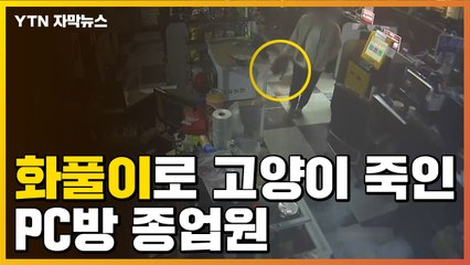 [자막뉴스] "여자 친구와 헤어져서" 고양이 죽인 PC방 종업원 / YTN