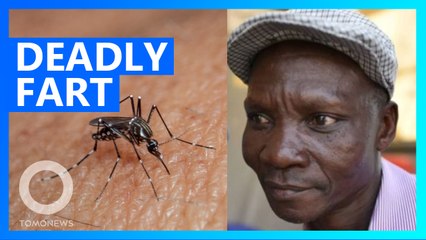 Man with mosquito-killing farts hired to create insect repellant