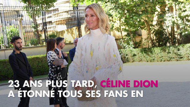 Céline Dion parodie l'un de ses célèbres clips et c'est hilarant