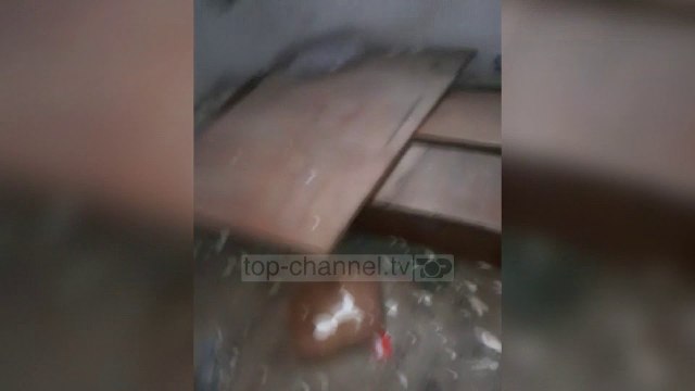 Ti Raporton / Me fëmijë të vegjël në një çadër, familja në qiell të hapur pas tërmetit