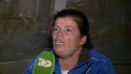 Familja që jeton në serë/ Nga frika e tërmetit, Arben Veliu ka gjetur këtë zgjidhje