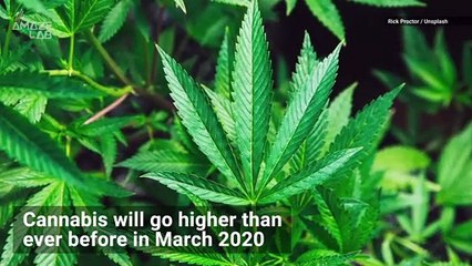 SpaceX is Sending Cannabis to the Space Station for Science