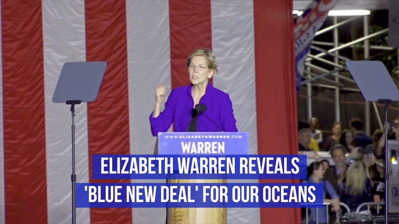 The Blue New Deal