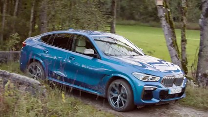 BMW X6 (Tout-terrain)