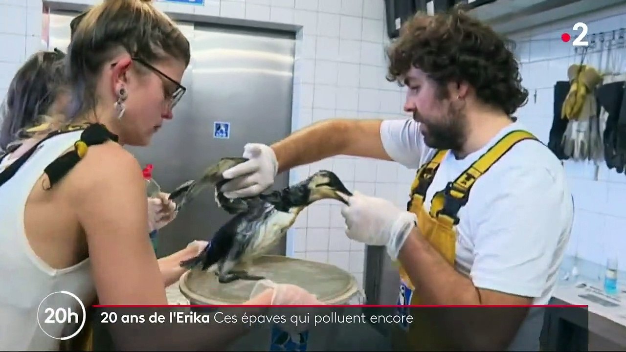 Naufrages : ces épaves qui polluent les mers