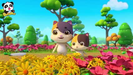 Tener Cuidado con La Abeja | Canciones Infantiles | Seguridad de Niños | BabyBus Español