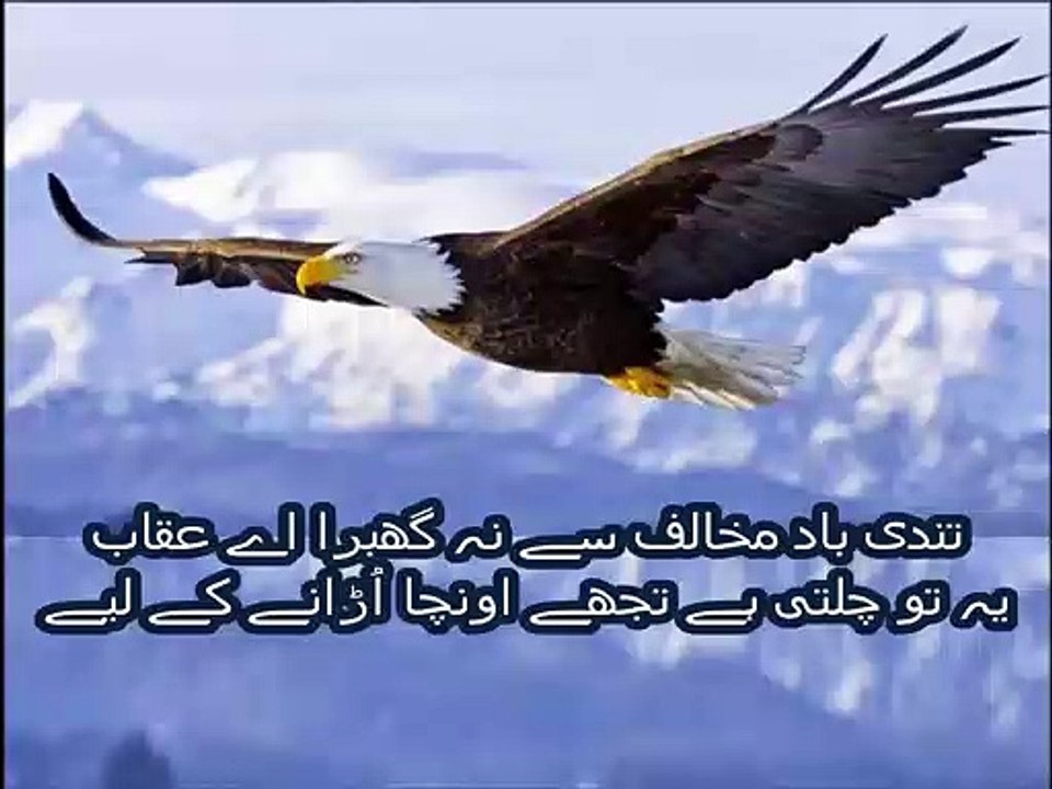 Basic math in Urdu for kids grade 5, L  18, Review exercise