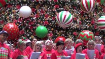 Carols In The City & Christmas Tree  @Martin Place, Canopy of Lights & Vatos De Ley(Hector de Norte) @Pitts St, Lights of Christmas@StMary Cathedral , Christmas Sydney Part 1, 12 Dec 2019
