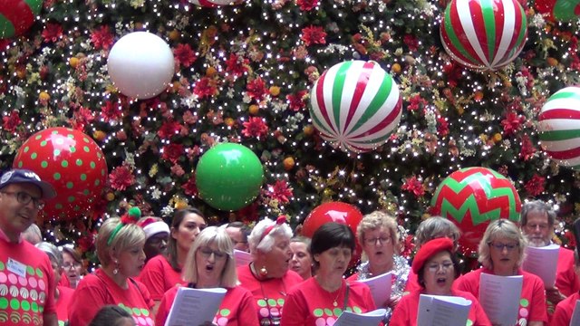 Carols In The City & Christmas Tree @Martin Place, Canopy of Lights & Vatos De Ley(Hector de Norte) @Pitts St, Lights of Christmas@StMary Cathedral , Christmas Sydney Part 1, 12 Dec 2019