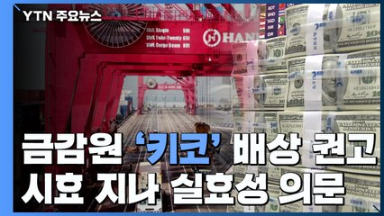 "키코 피해 기업에 최대 41% 배상" 권고 / YTN