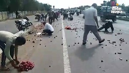 ट्रेक्टर से प्याज गिरने पर लोगों ने जान की परवाह न करते हुए मचाई लूट