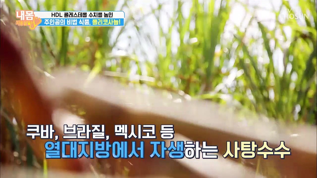 HDL 콜레스테롤 수치 높인 비법 식품 대.공.개