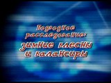 68. Братья Щербаковы - Подводное расследование 1. Зимние блёсны и балансиры