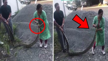 Woman Rescues Live Python From Kochi Naval Colony In Kerala | மலைபாம்பை அசால்ட்டா தூக்கிய பெண்