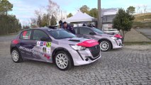 Peugeot 208 Rally 4 Design