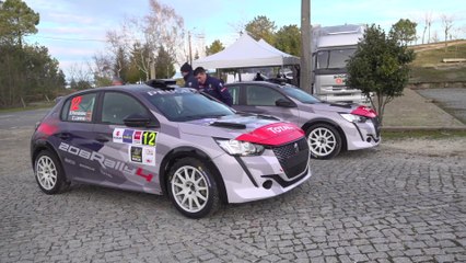 Peugeot 208 Rally 4 Design
