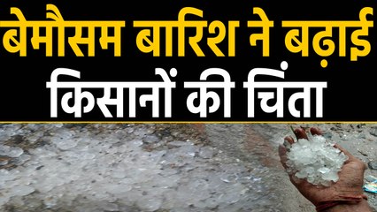 Madhya Pradesh and Haryana में किसानों के लिए मुसीबत बनी Rain, ओले पड़ने से फसलें बर्बाद | वनइंडिया