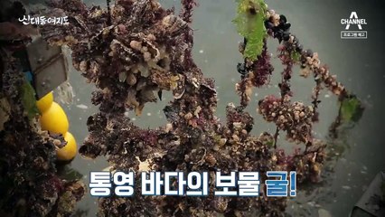 [예고] 겨울 바다의 보물 '통영 굴'을 만나다! 山사나이와 함께 즐기는 겨울 이야기