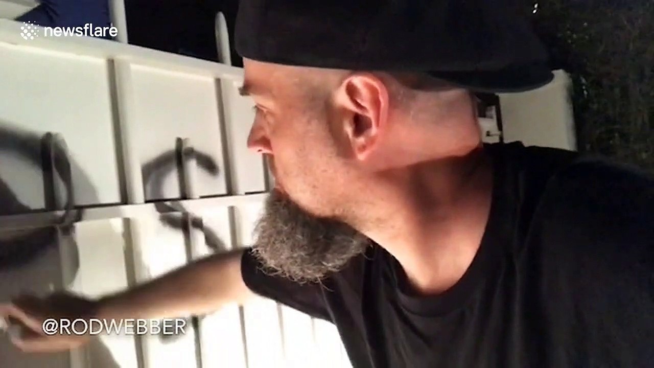 US artist spray paints slogan on gates of Jeffr...