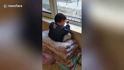 Chinese toddler lies on window ledge for hours watching cartoons on TV in opposite building