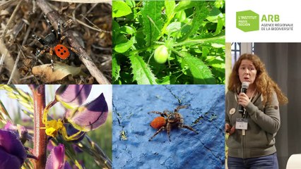 12 - Claire Jacquet  - Rencontres naturalistes 2019