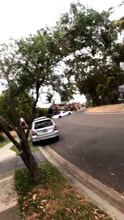 Australian Christmas Ute