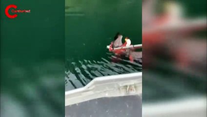 Dünya bu görüntüleri konuşuyor: Ahtapot ile kartalın mücadelesi kamerada