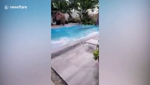 Swimming pool shakes violently during Philippines earthquake